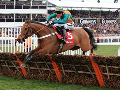 Cole Harden on his way to winning 2015 Ladbrokes World Hurdle at Cheltenham