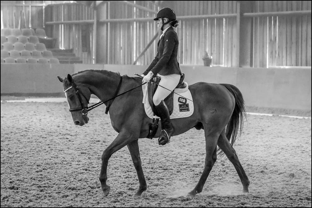 Dressage competition time: Alison Fryer & Sandy (Copyright photo courtesy Alex Kennedy - atk photography)