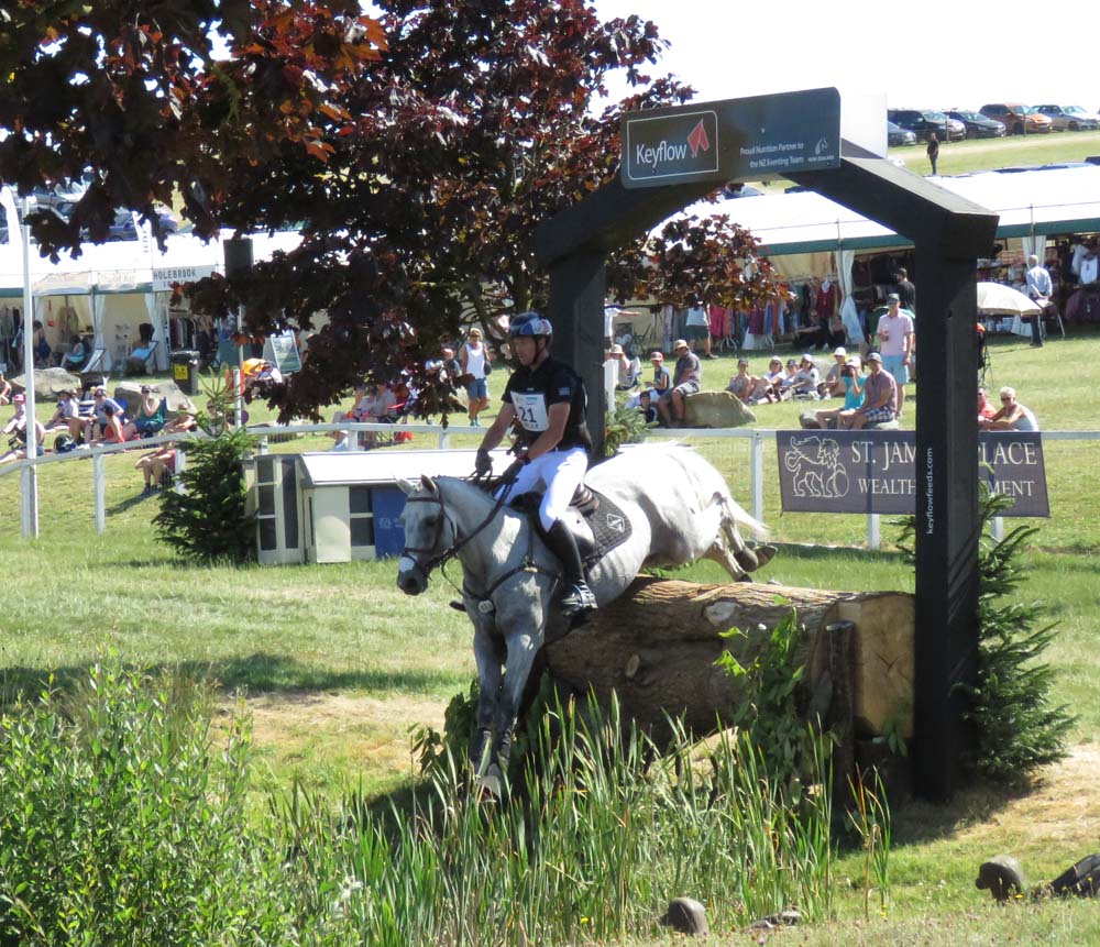 Tom Carlile & Upsilon take the Keyflow fence - near the end of the cross country 