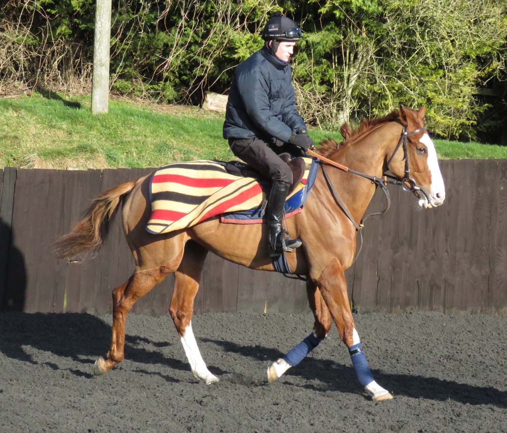 Valdez in the Barbury Castle Yard warm-up ring