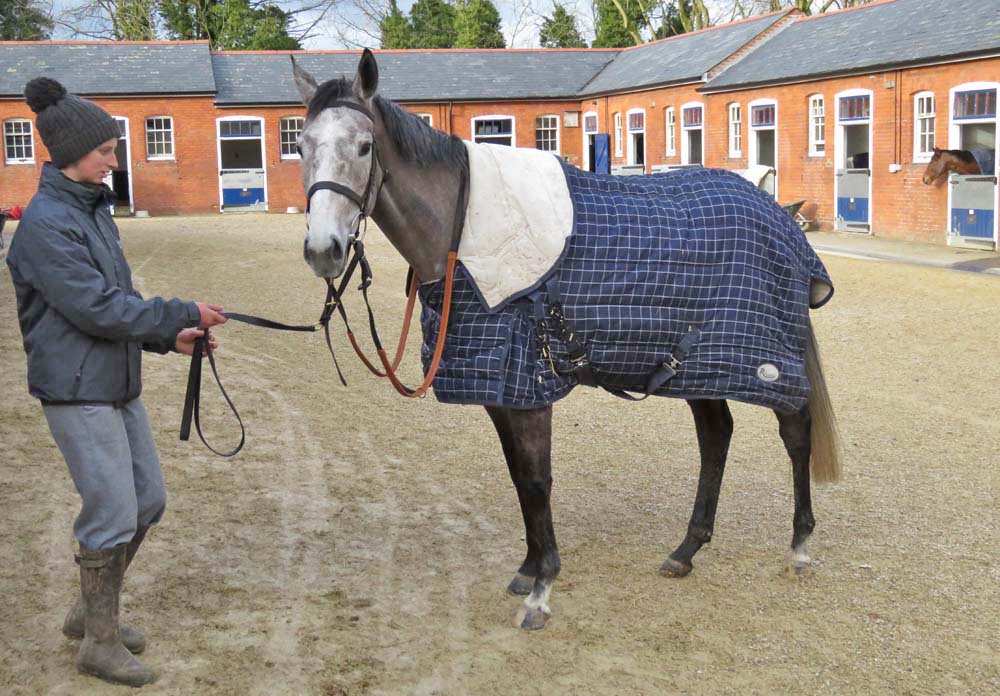 Lucy Adams with Dissavril at the Bonita Racing Stables