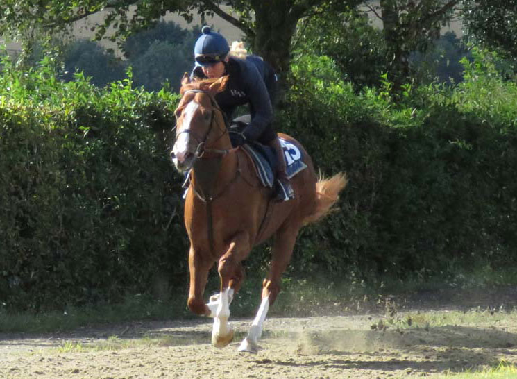 Mums Tipple at the recent Richard Hannon open day - under Hattie Heal