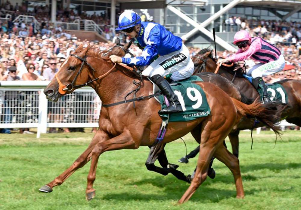 Ginger Nut winning under Harry Bentley [Photo: Newbury Racecourse]