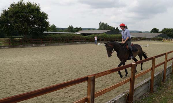 Training underway at Elite Racing Club's Equi-Prep stables