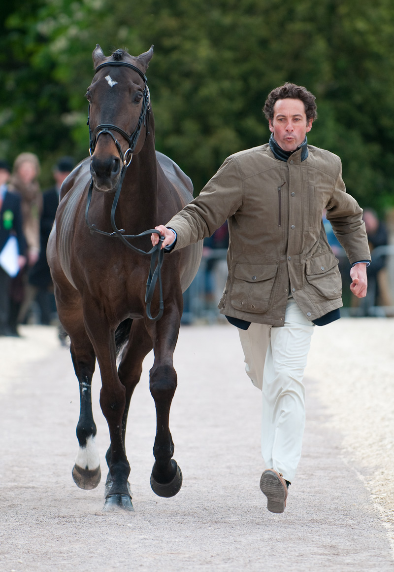 Marcelo Tosi & Eleda All Black - trotting up for the judges [Photo copyright Nico Morgan Photography.)
