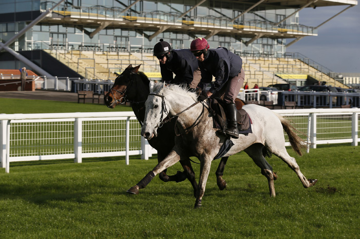 Smad Place gets a pre-race gallop at Newbury (November 2014)