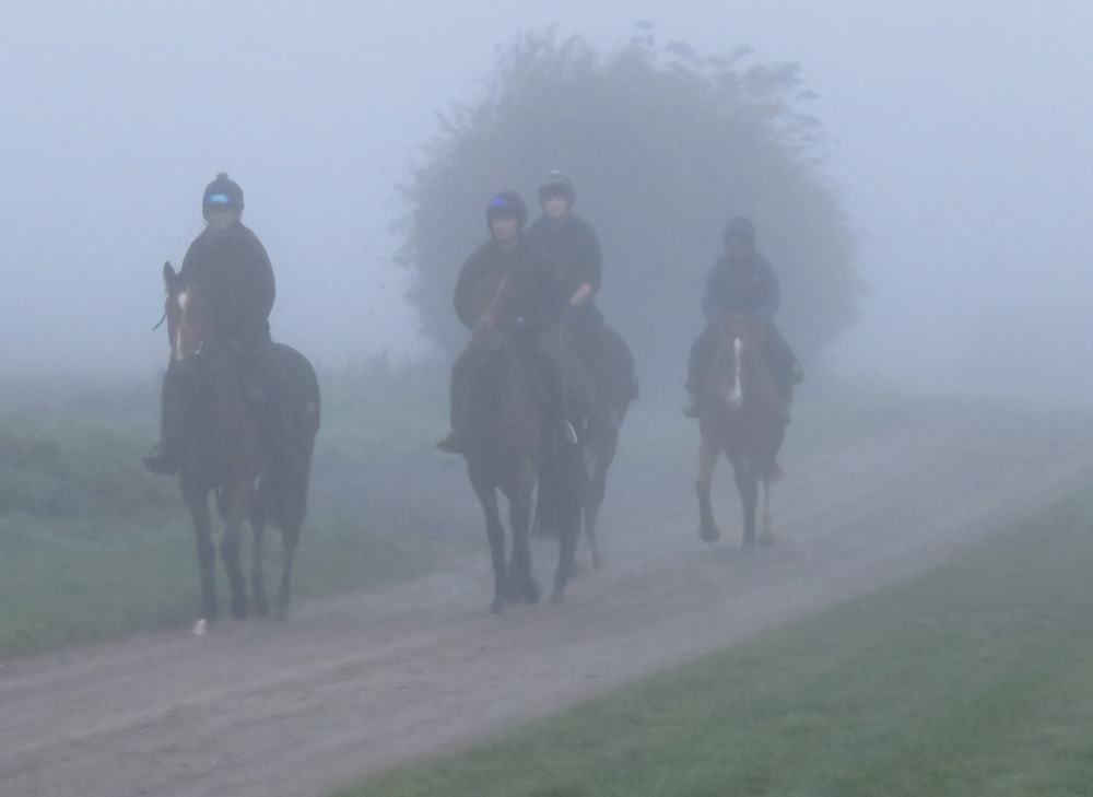 A foggy Manton morning: horses coming back from the gallops