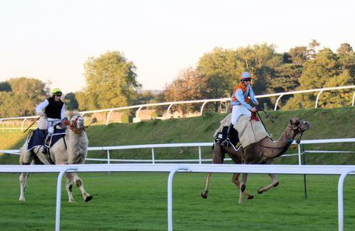 Sam Twiston-Davies (left) & Chelsea approaching the finish