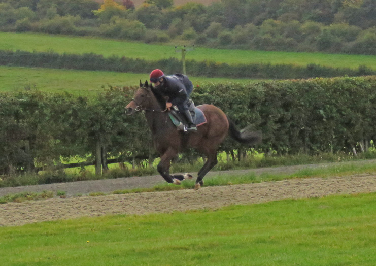 Illuminate - showing her speed