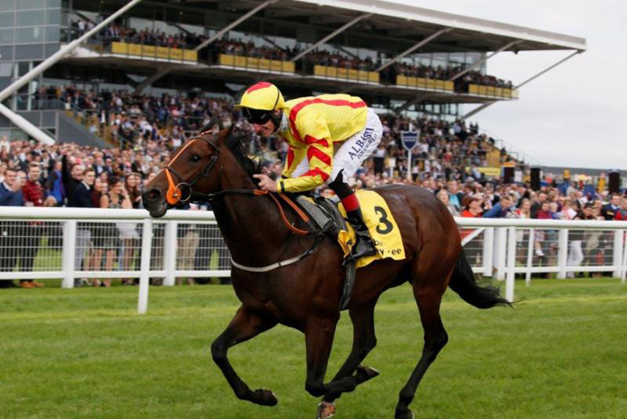 Harry Angel storms to victory in the 2016 Dubai Duty Free Mill Reef Stakes (Photo: Newbury Racecourse)