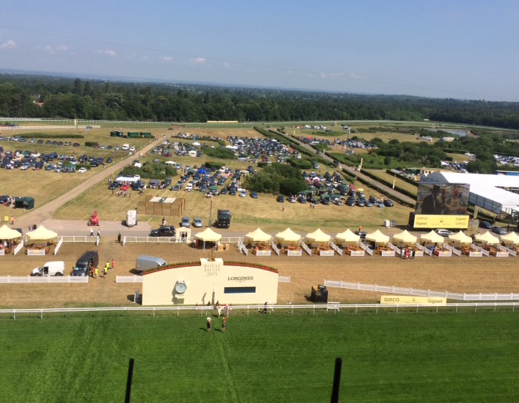 The morning view from Sasha's 'office' - right above the finish 
