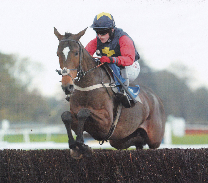 Southway Star (with Trevor Whelan) winning at Fontwell [photo courtesy Fontwell Park Racecourse]