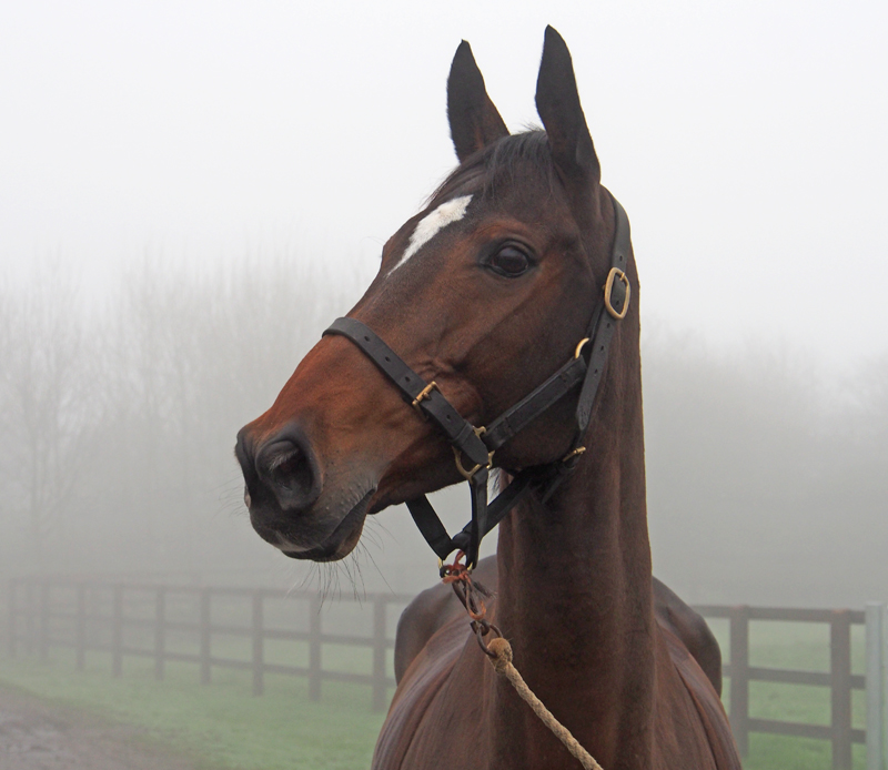 Southway Star