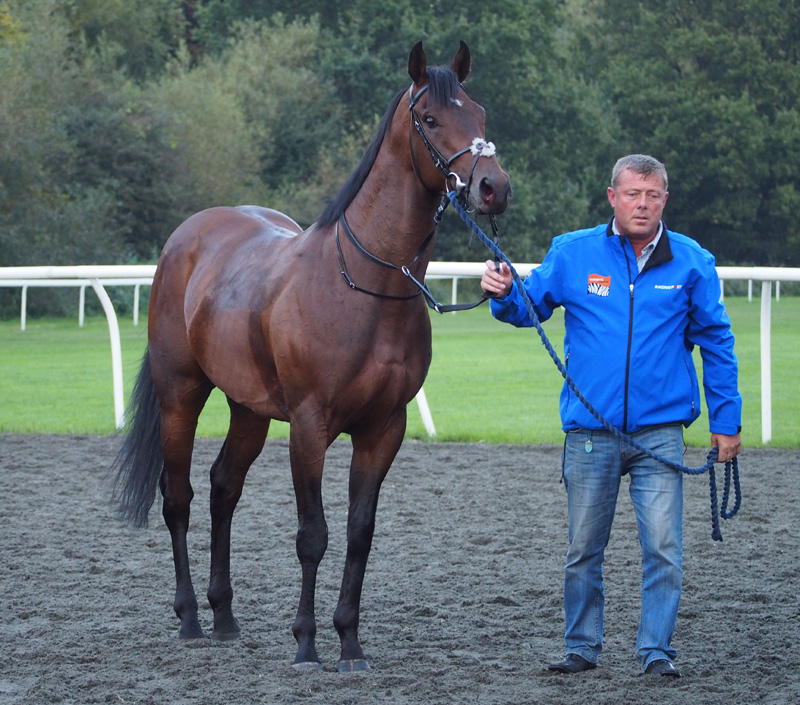 A disconsolate Gary leads Dubai Star away from the start