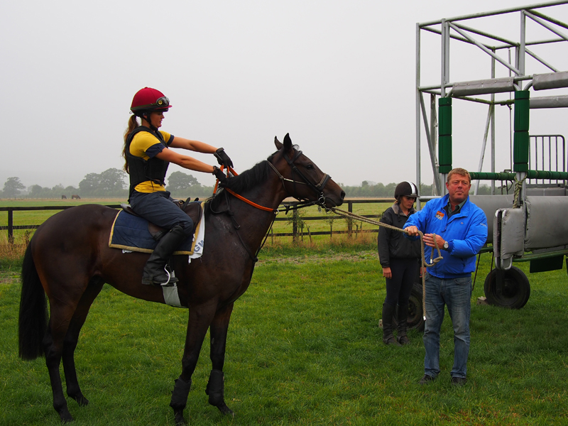 The practise stalls on the gallops